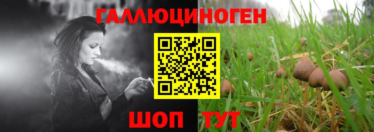 Галлюциногенные грибы Cubensis  Вход с VPN  Саянск 